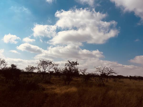 9.7 ha Land