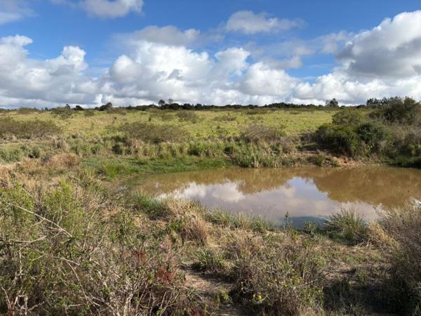 172 ha Land