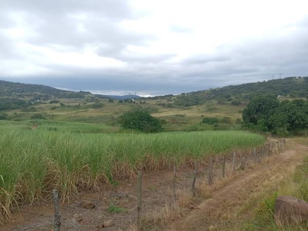 15 ha Farm