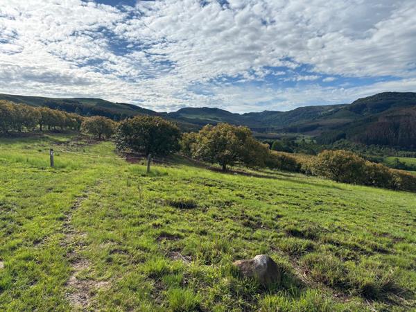 3.5 ha Smallholding