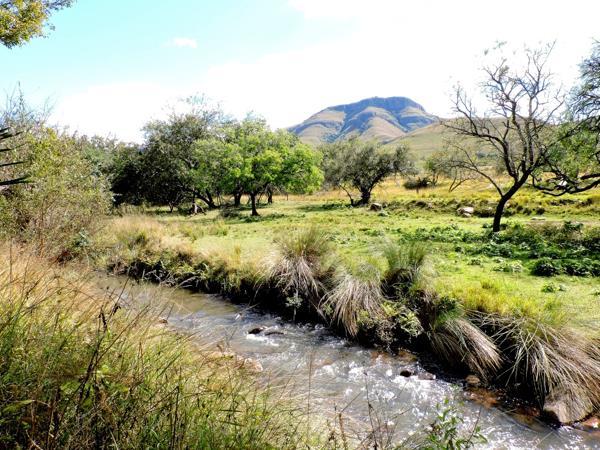 141.9 ha Farm
