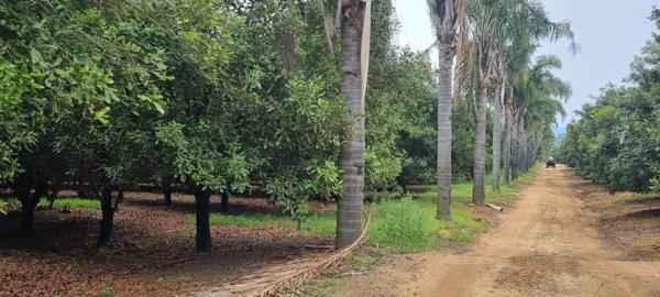 93.4 ha Farm