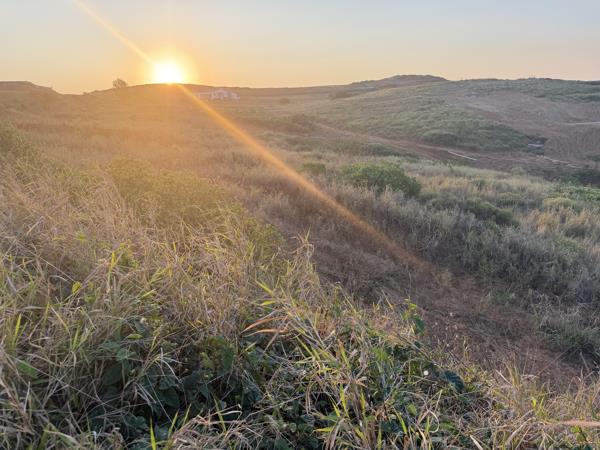 1 368 m² Land