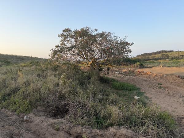 2 337 m² Land