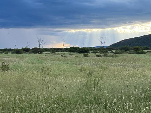4 353 ha Farm