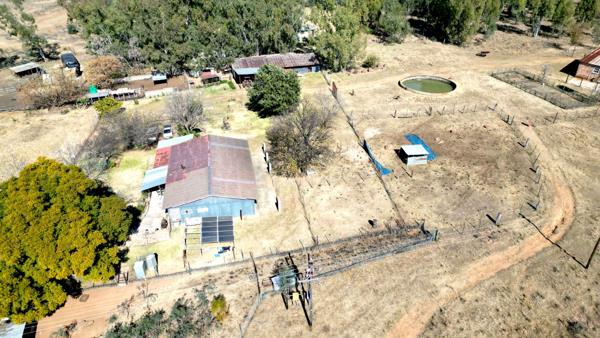 96 ha Farm with House