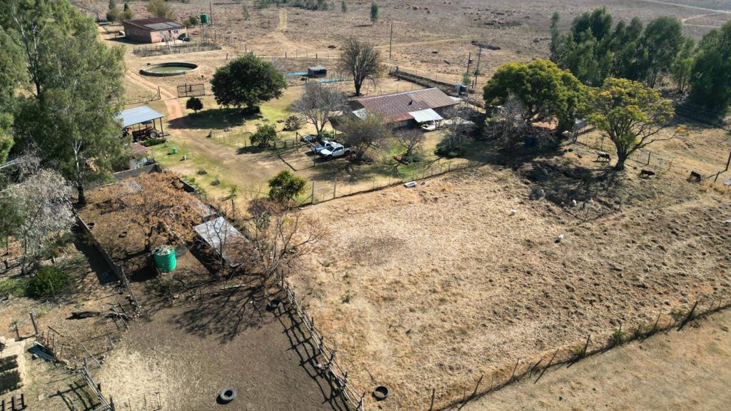 96 ha Farm with House