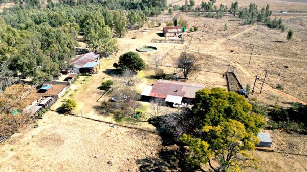 96 ha Farm with House