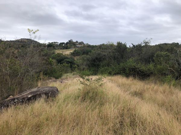 1 ha Land