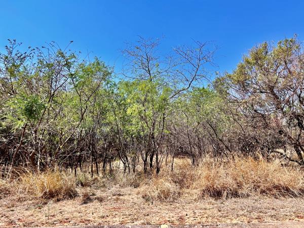 875 m² Land