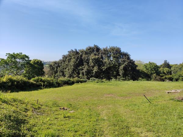 1 801 m² Land