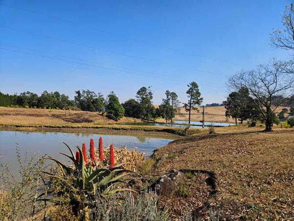 11.8 ha Farm