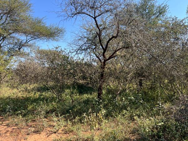 1 800 m² Land