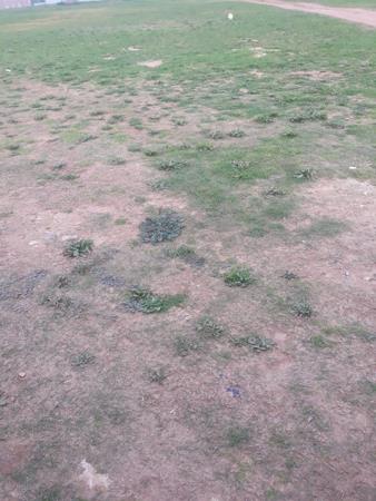 9 396 m² Land