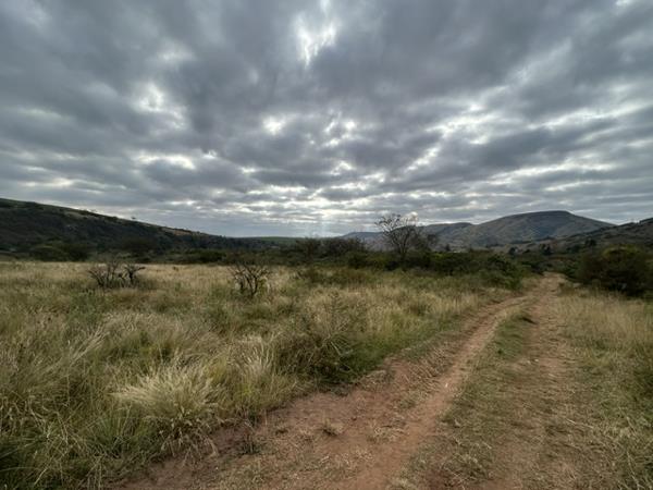 81 ha Land