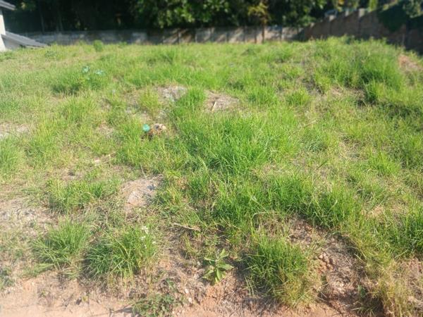 570 m² Land