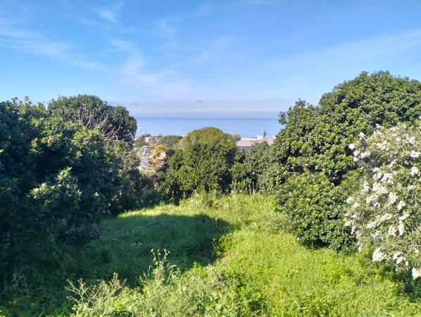 708 m² Land