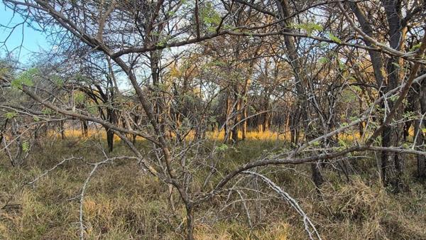 1 043 m² Land