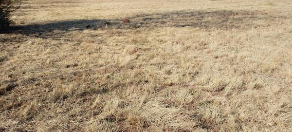 2 032 m² Land