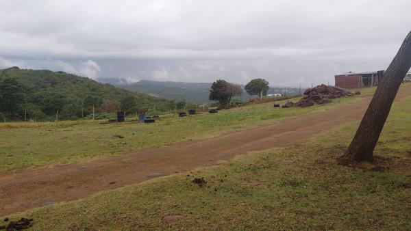 14.2 ha Smallholding