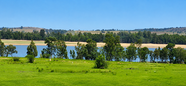 1.2 ha Land
