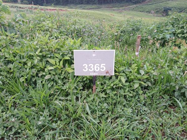 602 m² Land