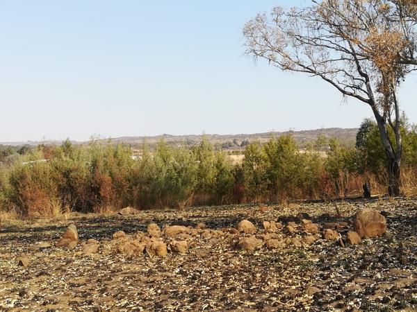12 ha Land