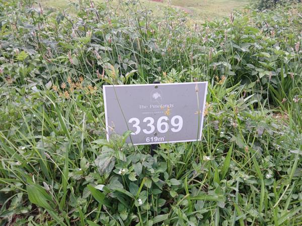 619 m² Land