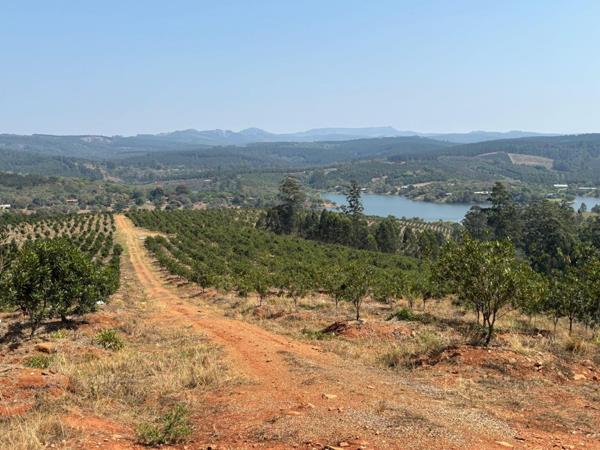 339.9 ha Farm