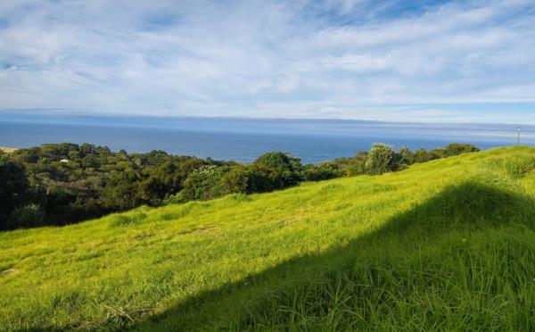 684 m² Land