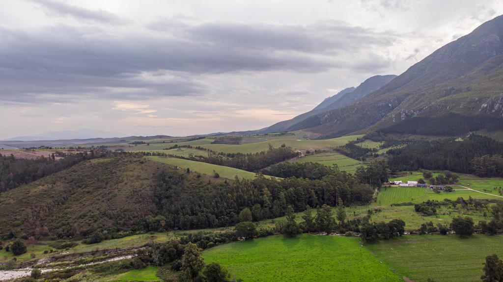 1.4 ha Farm