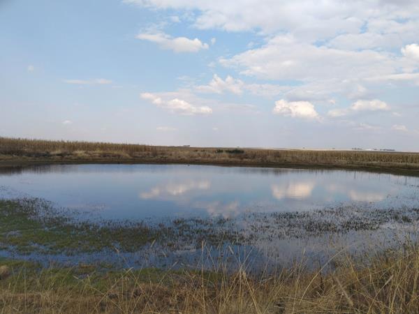 510 ha Land