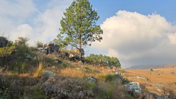 1 000 ha Farm