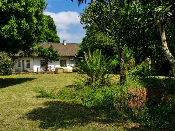 10 ha Smallholding