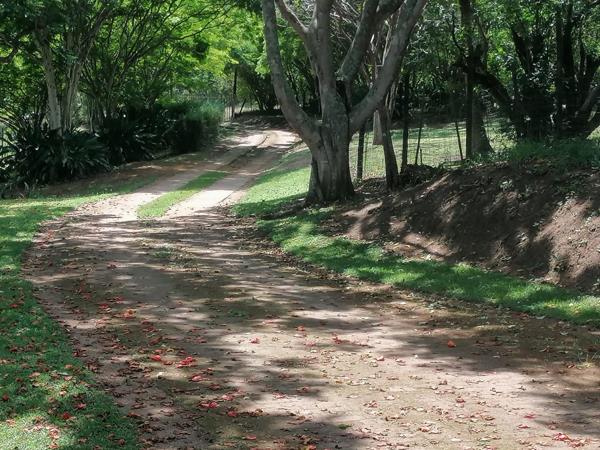 10 ha Smallholding