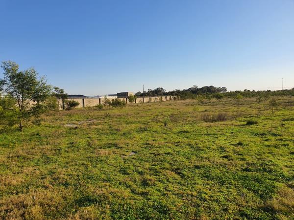 2.8 ha Land