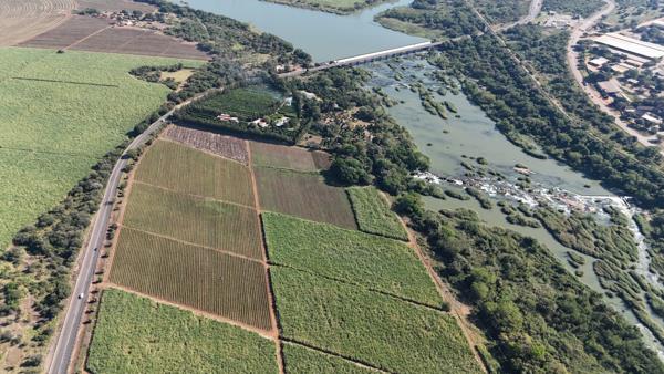 34 ha Commercial Farm