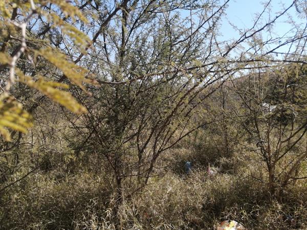 450 m² Land