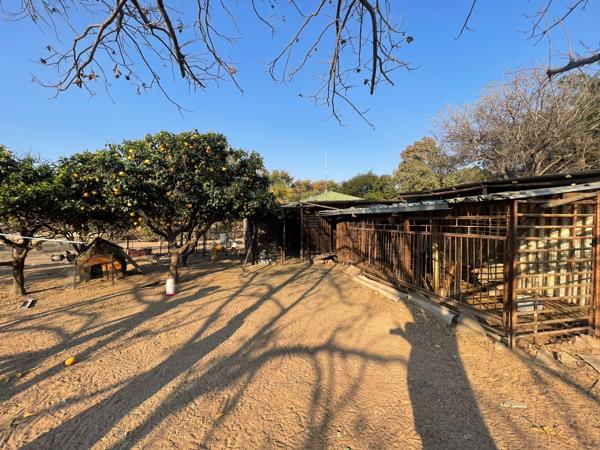 9 ha Farm with House