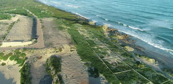 242 m² Land