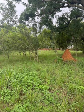 1 248 m² Land