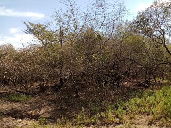 1 500 m² Land