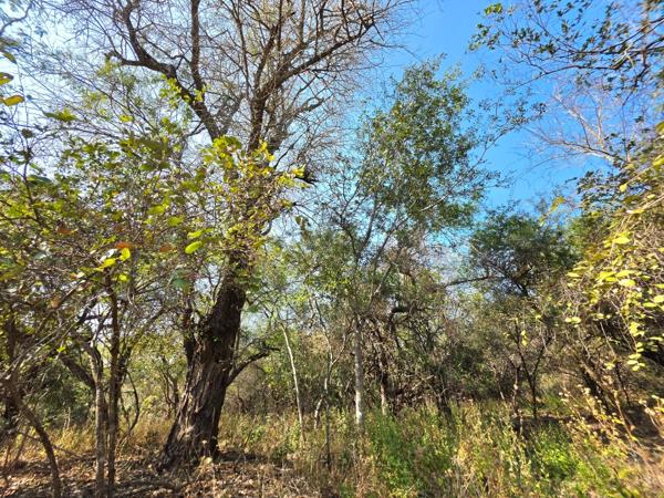 2 100 m² Land