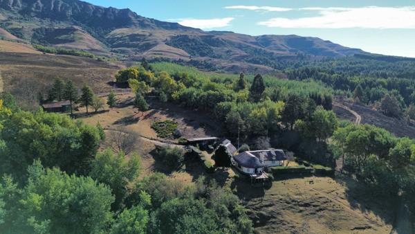 20 ha Farm
