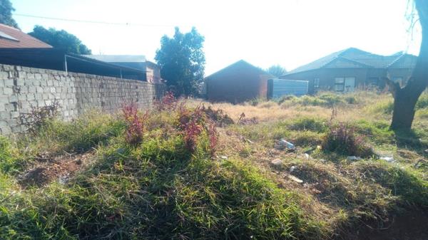 317 m² Land