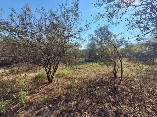 1 700 m² Land