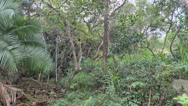 4 623 m² Land