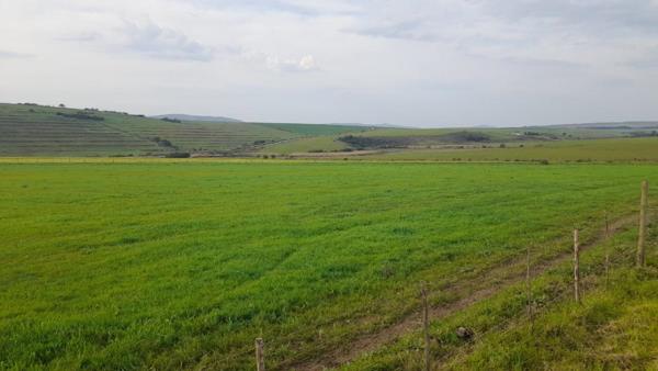 22 ha Land