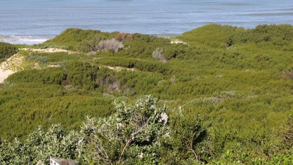 694 m² Land