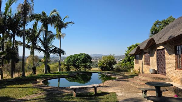 8.8 ha Commercial Farm